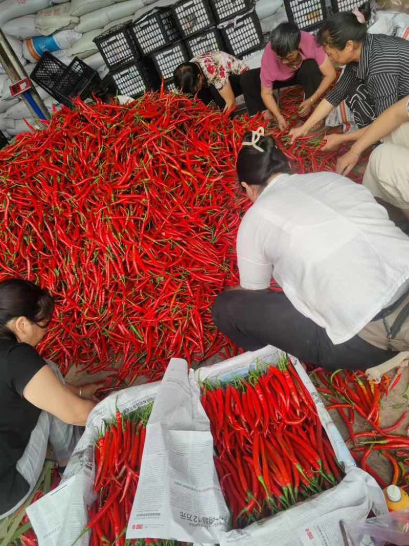 3号红线精品市场货价格美丽质量三包一手货源