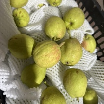 新疆库尔勒香梨🍐