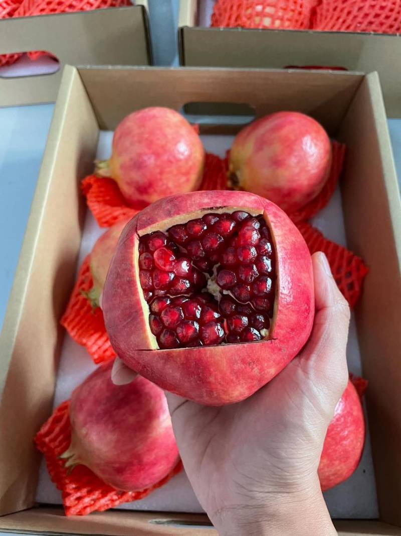 会理软子石榴