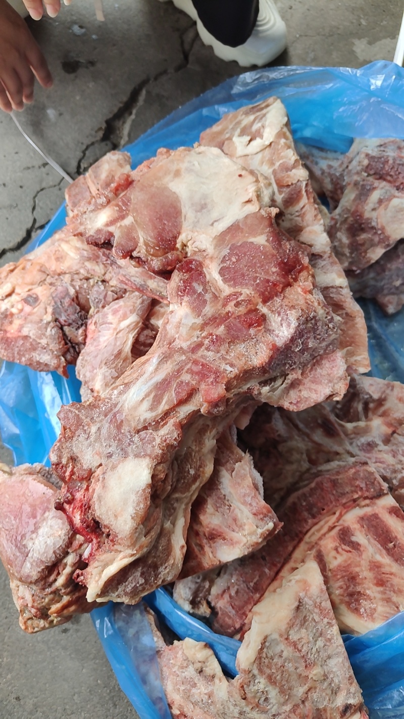 320胫骨肉多价低