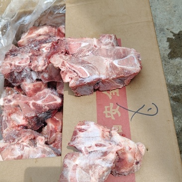 多肉尾叉骨切块