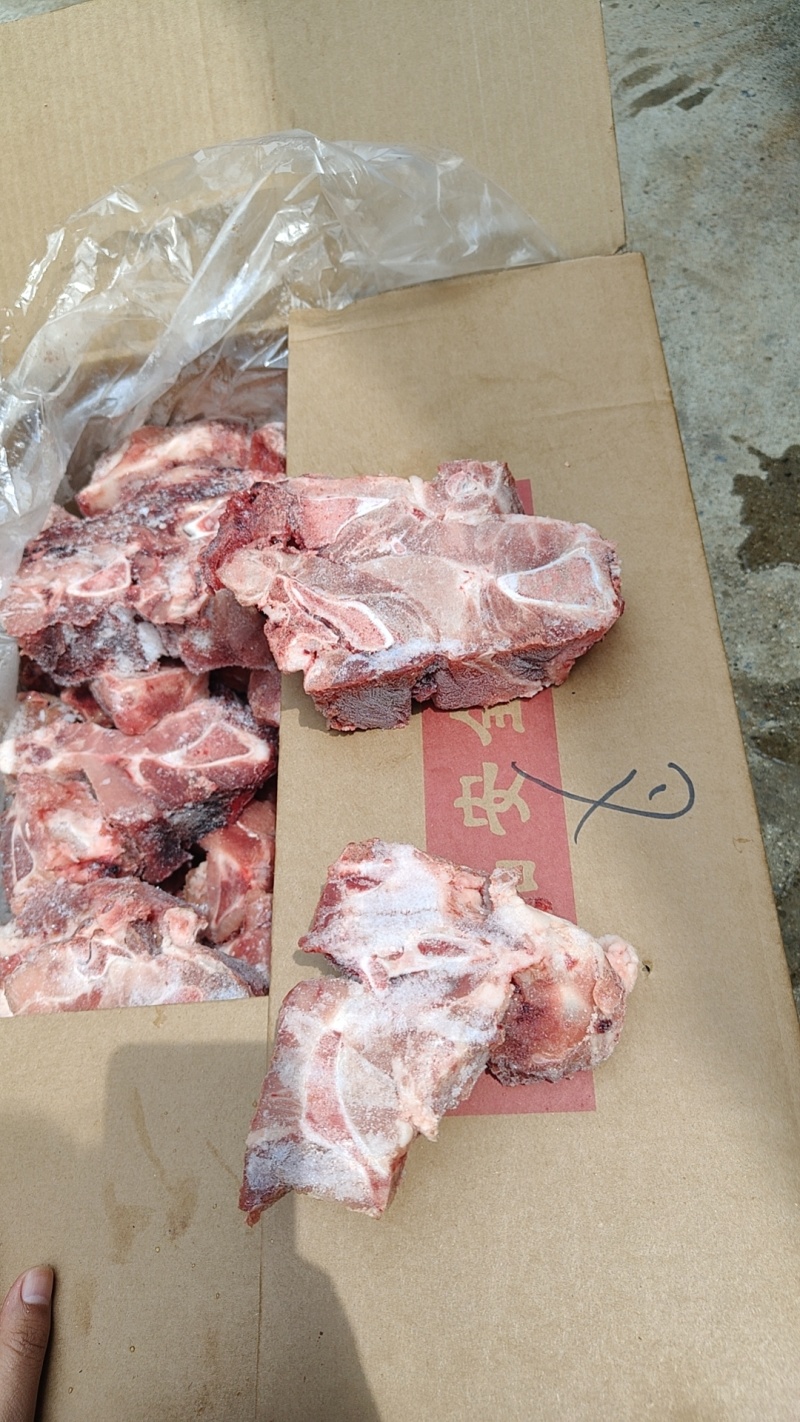 多肉尾叉骨切块