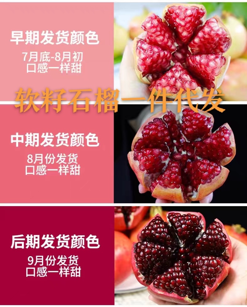 软籽石榴一件代发