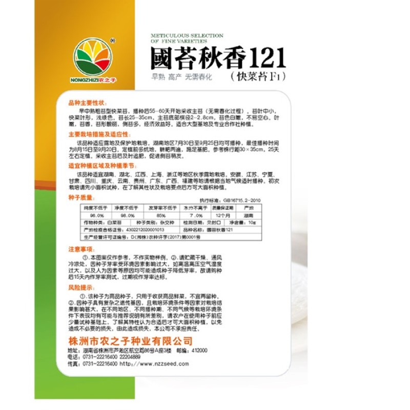 早熟白菜苔种子广东菜薹国苔秋香120早熟高产秋冬季菜