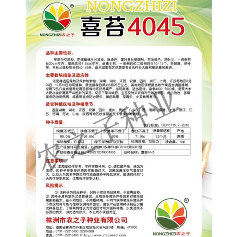 喜苔4045早白菜苔蔬菜种子基地合作社用种高产早熟秋冬阳台农