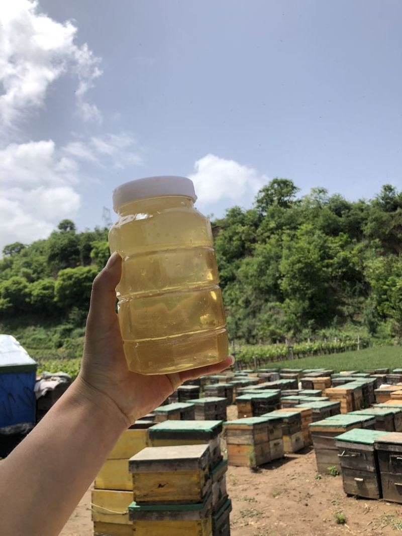 宝鸡秦岭蜂蜜