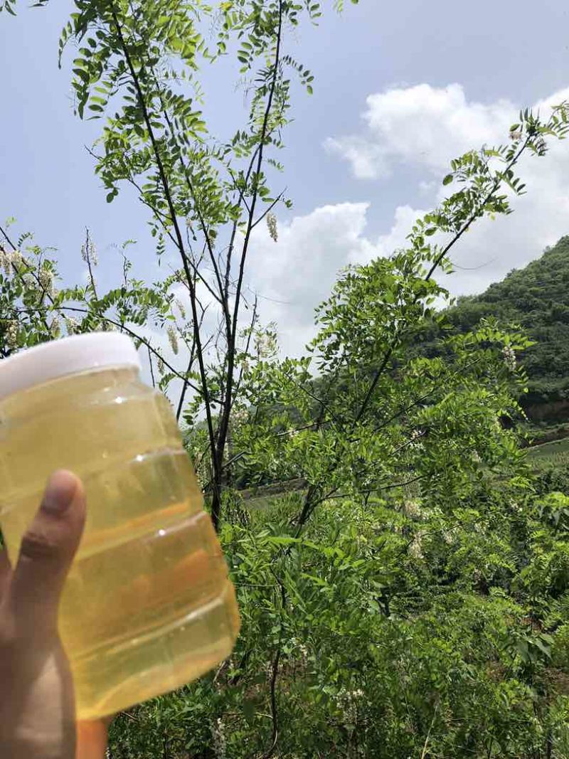 宝鸡秦岭蜂蜜