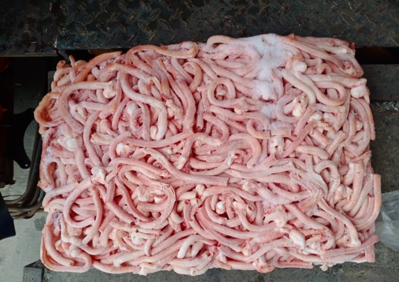 鸭气管