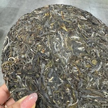 普洱茶