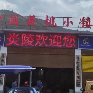 华夏始祖炎陵黄桃香醉一下