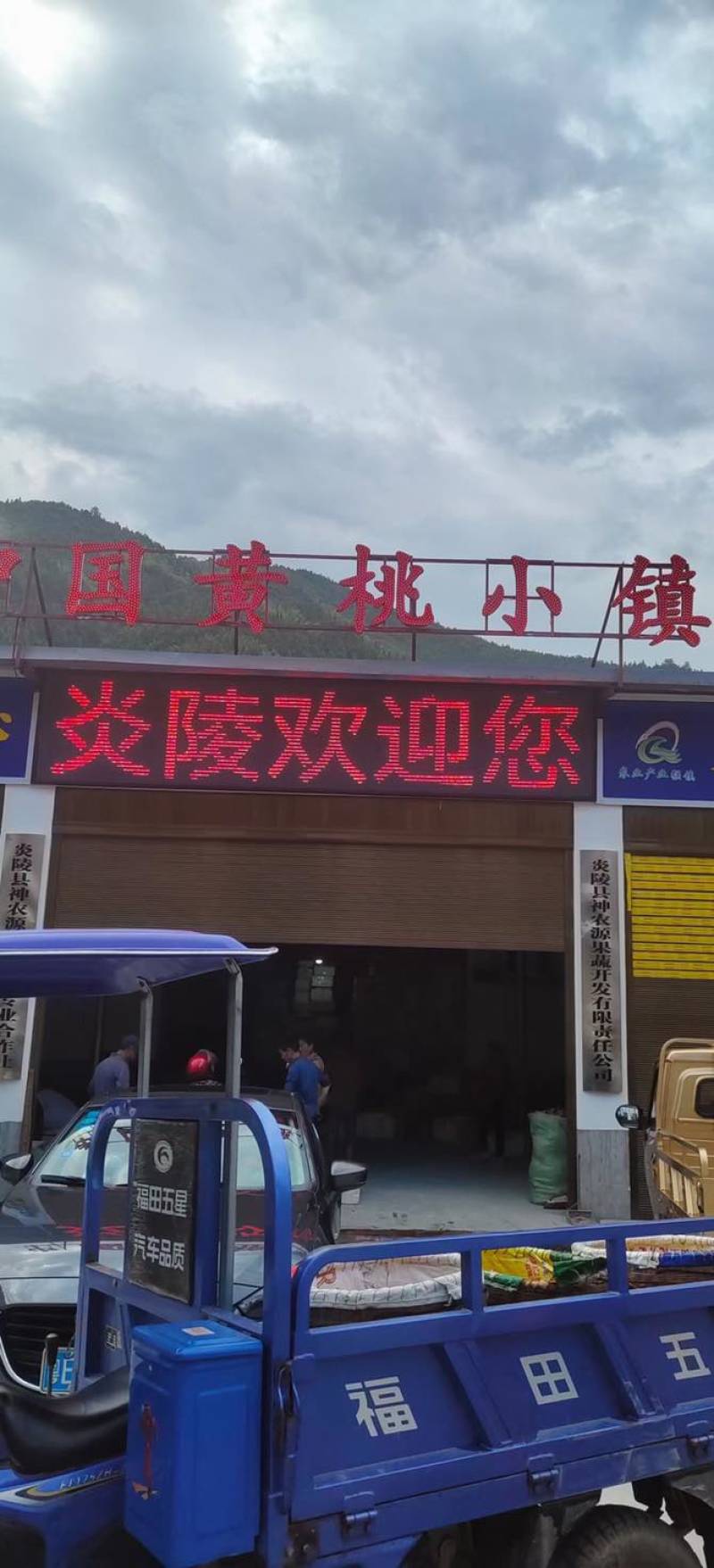 华夏始祖炎陵黄桃香醉一下