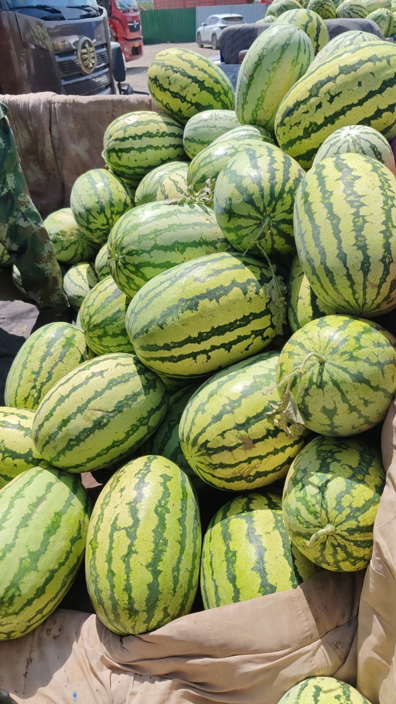 硒砂瓜