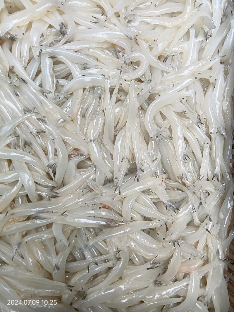 冻货水解之后比鲜货质量好能放3-5天不变质