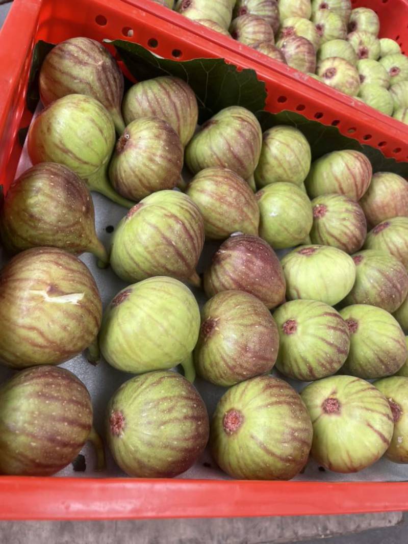 波姬红无花果、甜度高、果大120克，成都蒙阳发货。