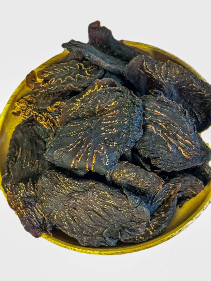 阿拉善苁蓉切片
