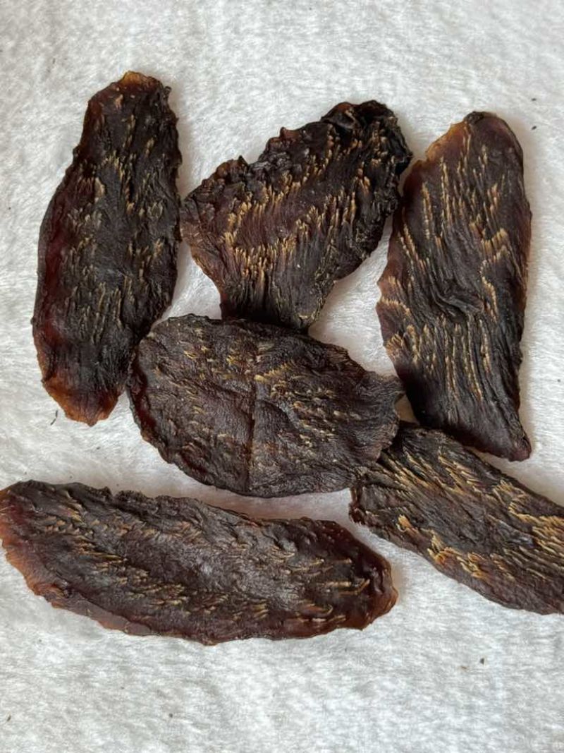 阿拉善苁蓉切片