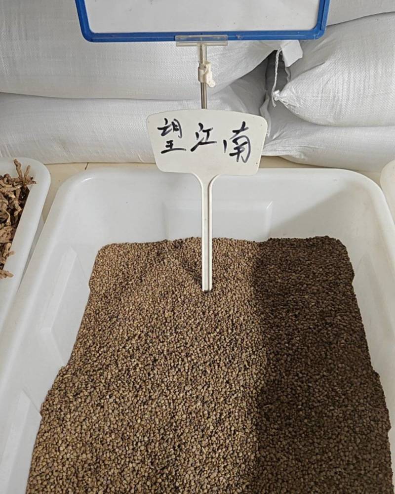 望江南