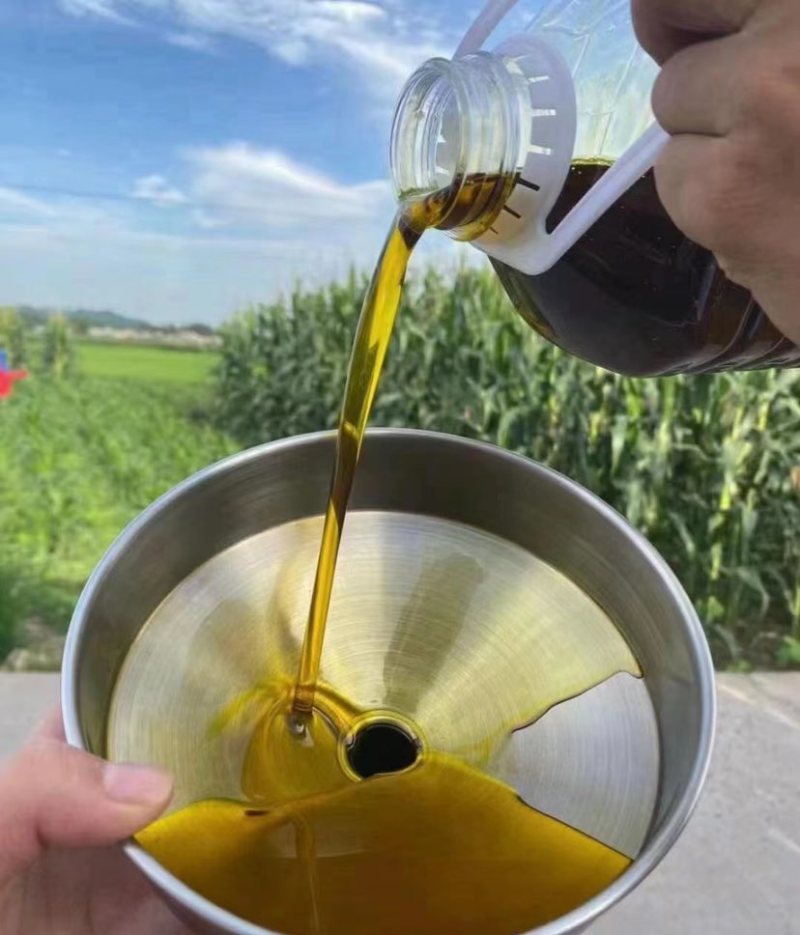 菜籽油货到付款45元菜籽油正宗农家自榨菜籽