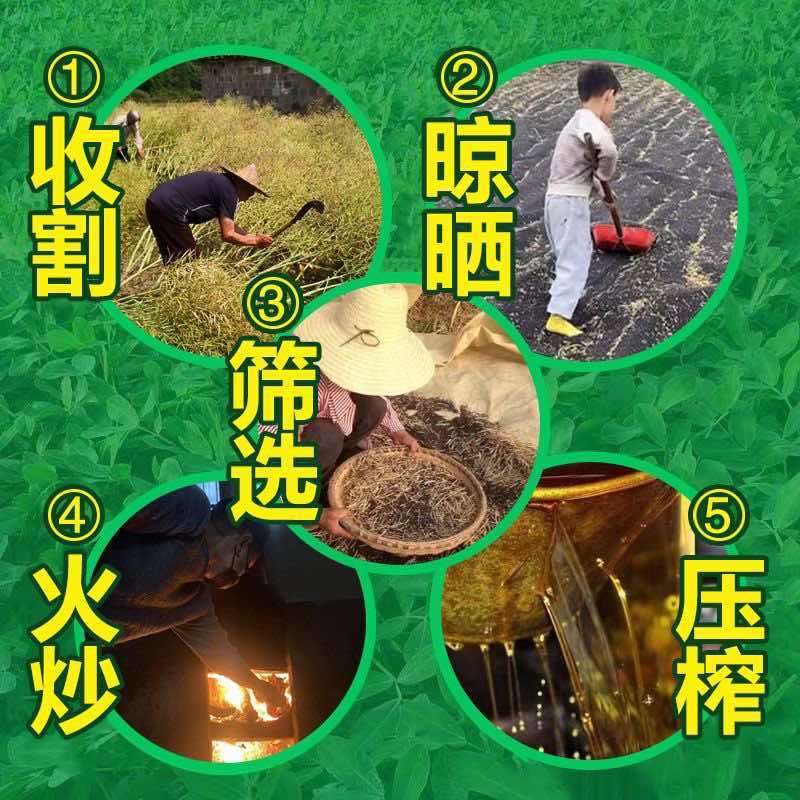 菜籽油货到付款45元菜籽油正宗农家自榨菜籽