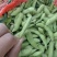 新鲜毛豆翠绿宝75产地直发一首货源