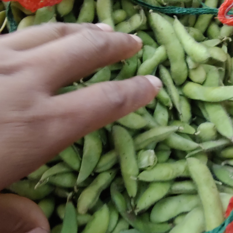 新鲜毛豆翠绿宝75产地直发一首货源