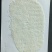 珍珠米量大从优
