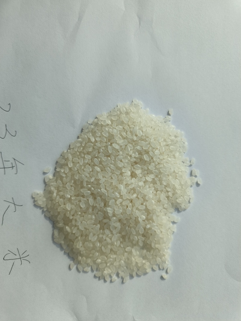 珍珠米量大从优