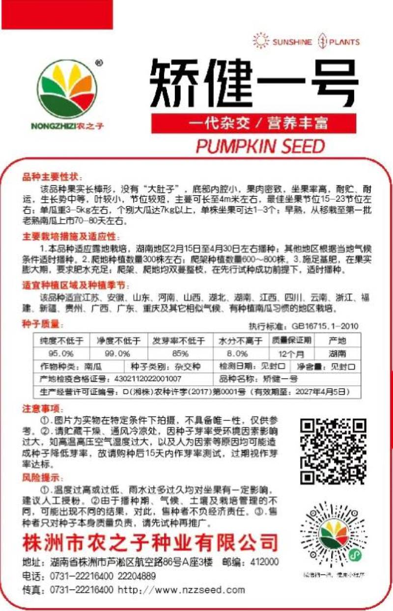 矫健一号南瓜种子农之子一代杂交营养丰富春夏高产