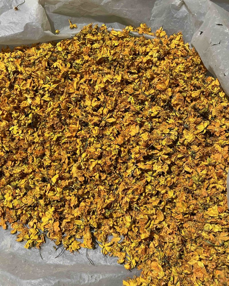 野生金莲花，烤干颜色好可视频看货，400斤茶花