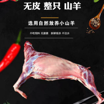 山羊羔羊肉，无水，无胶，活羊现杀，冷冻发货（避免变质