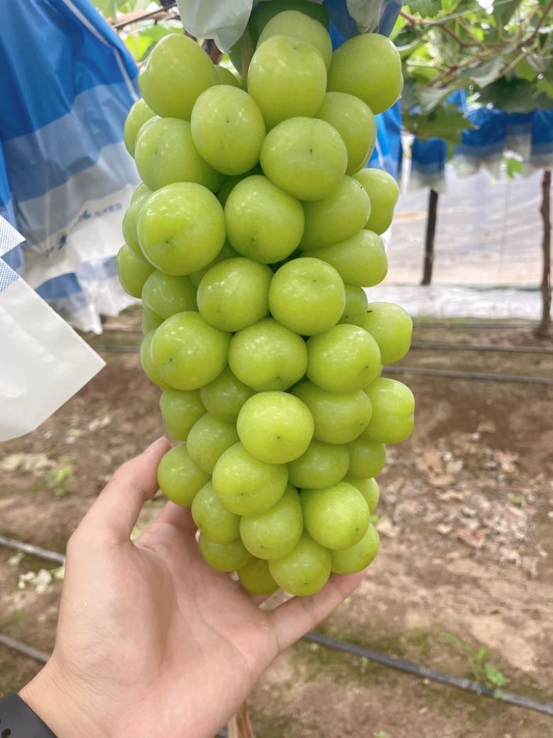 好通货