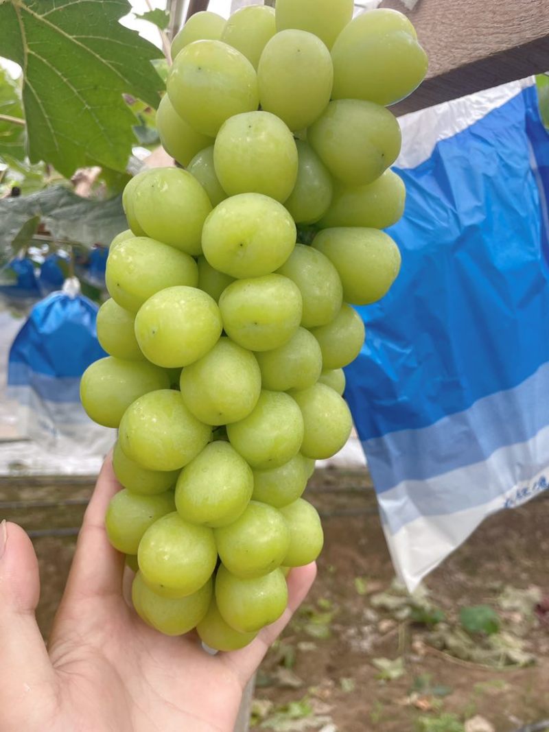 好通货