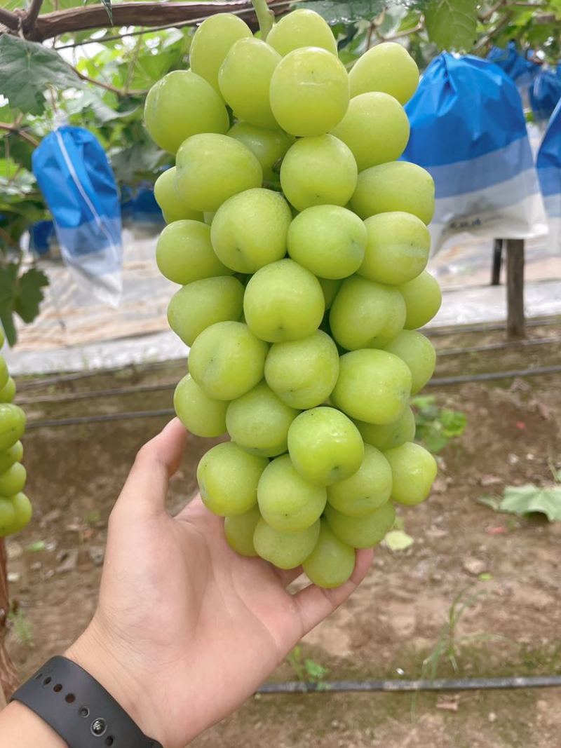 好通货
