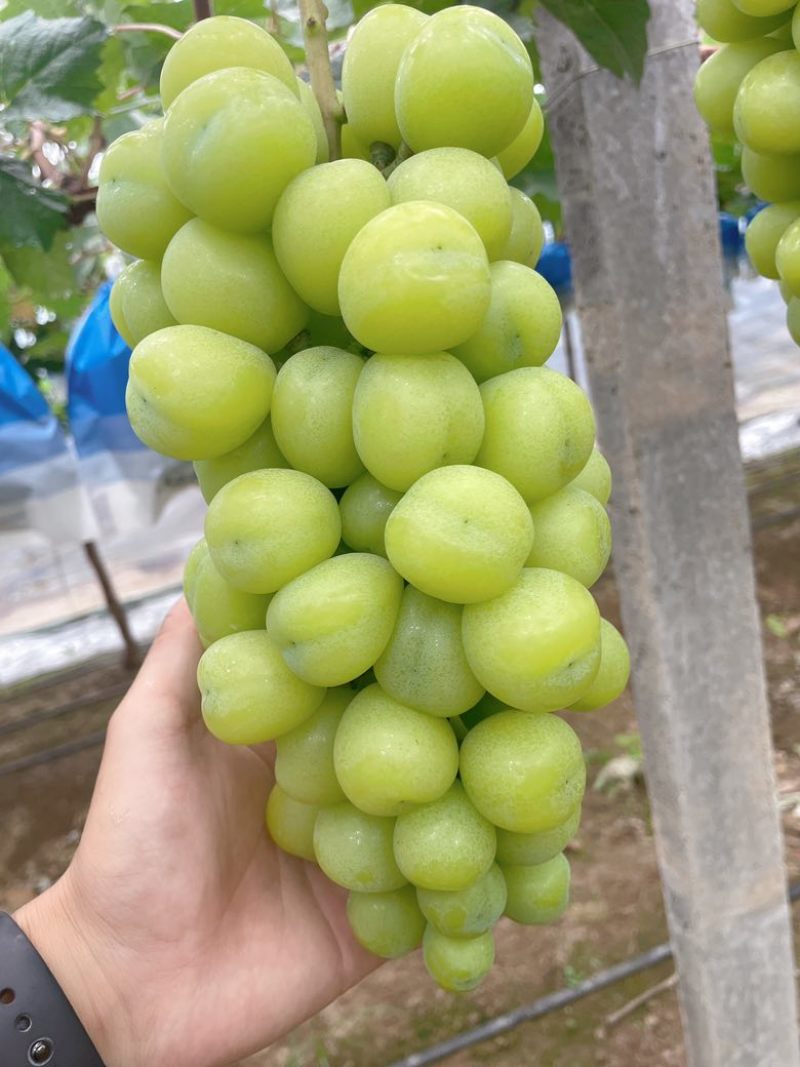 好通货
