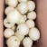 精品皇冠梨