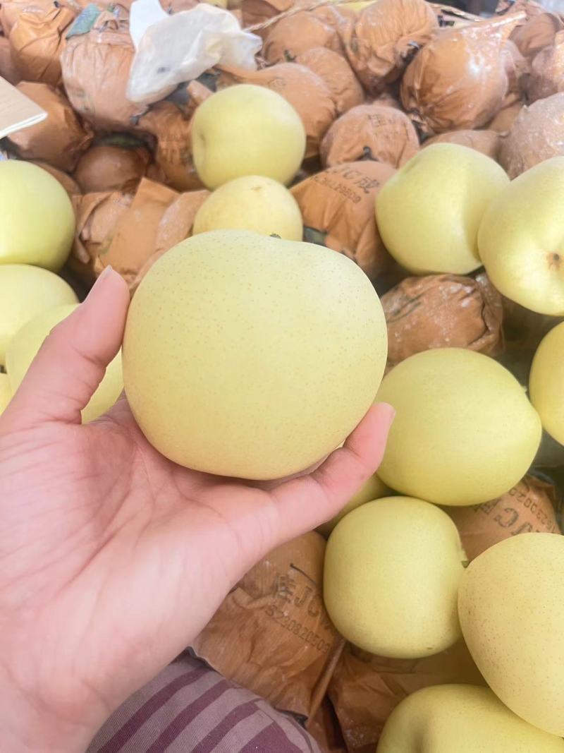 精品皇冠梨