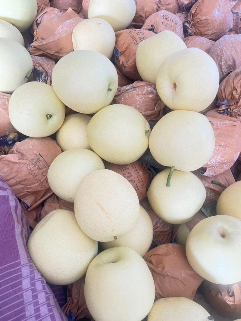 精品皇冠梨