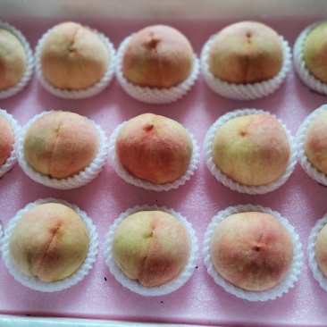 江苏水蜜桃