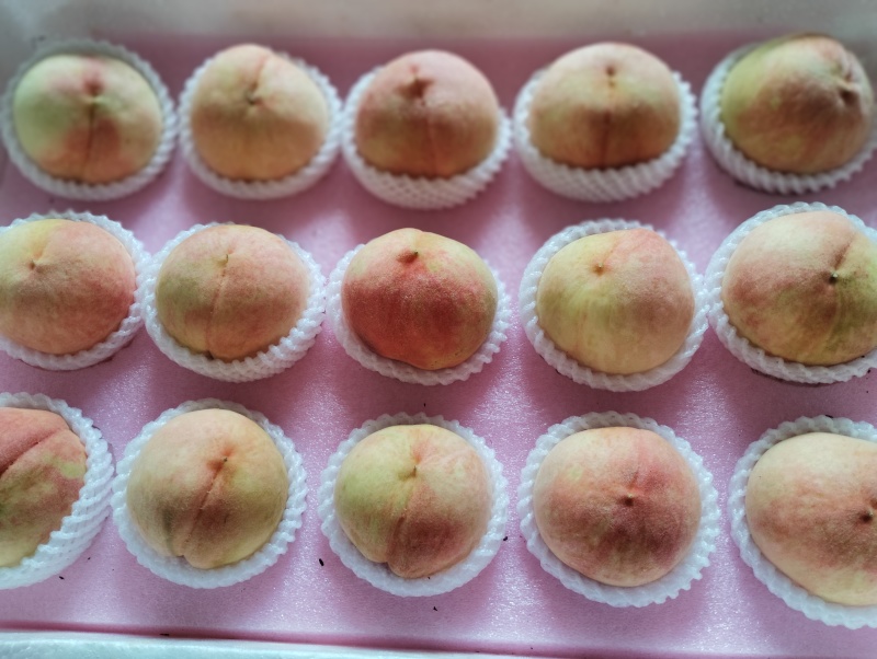 江苏水蜜桃