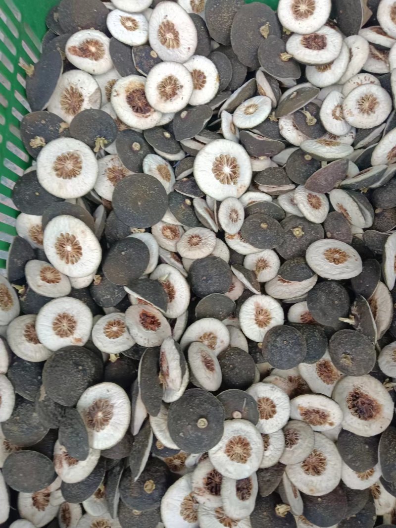 大量出售枳壳
