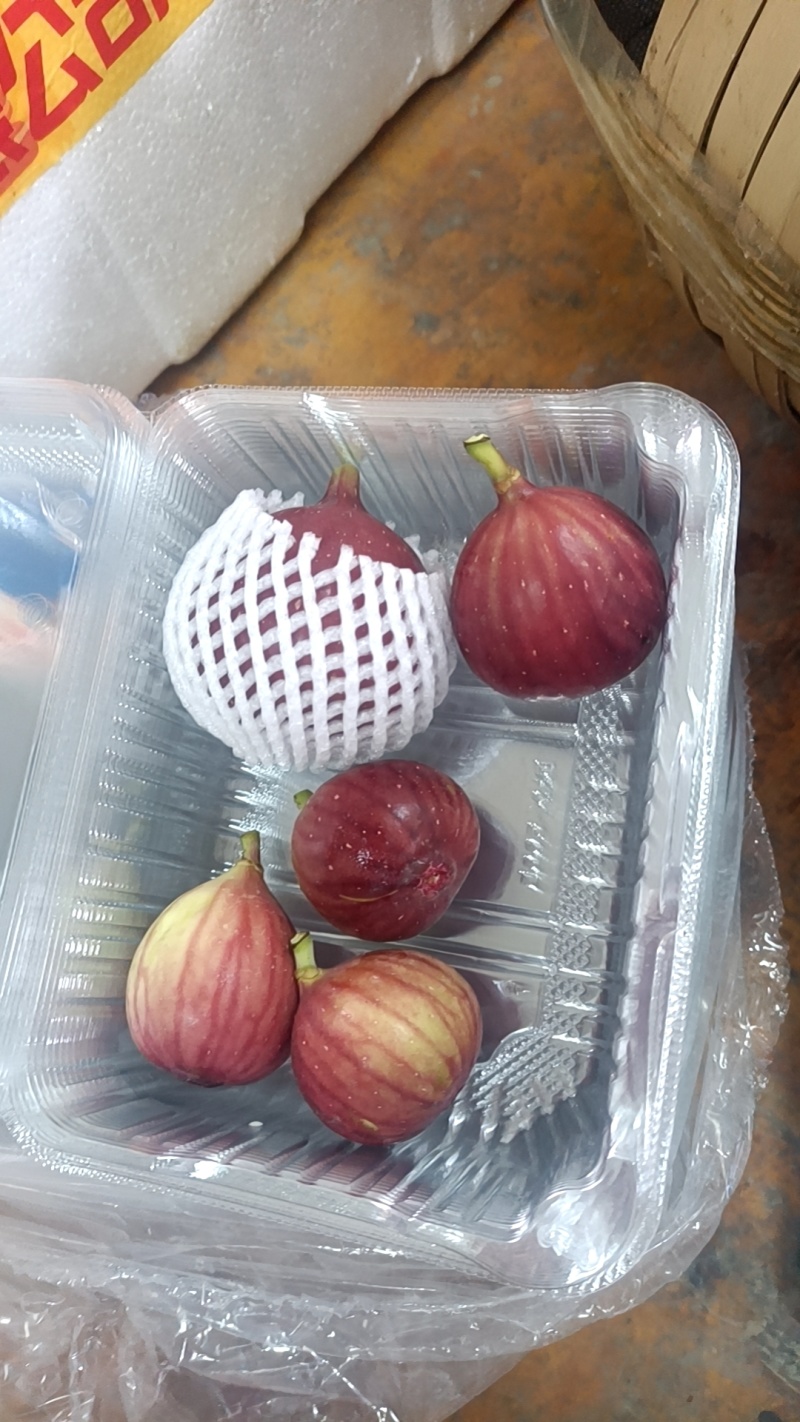新鲜无花果！自产自销！价格优势？