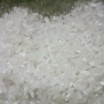 特产大米