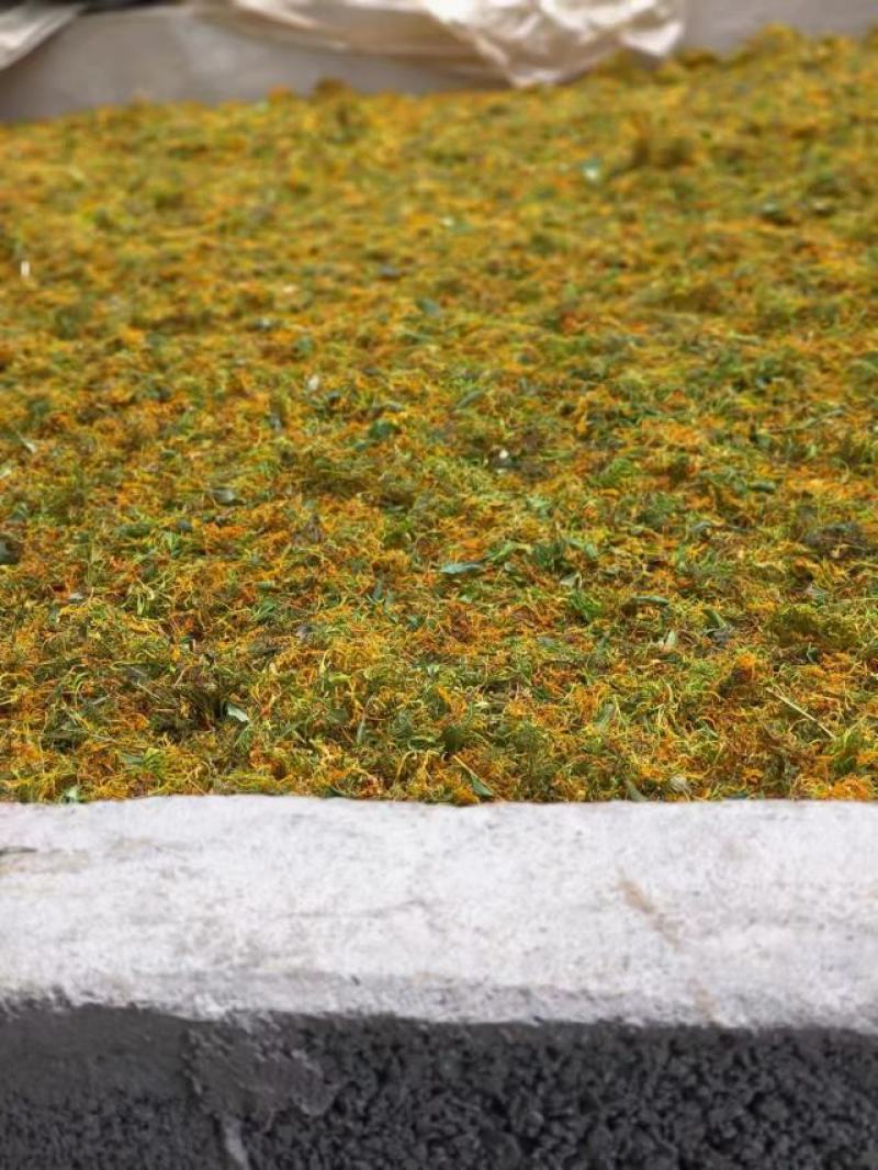 贵州山银花