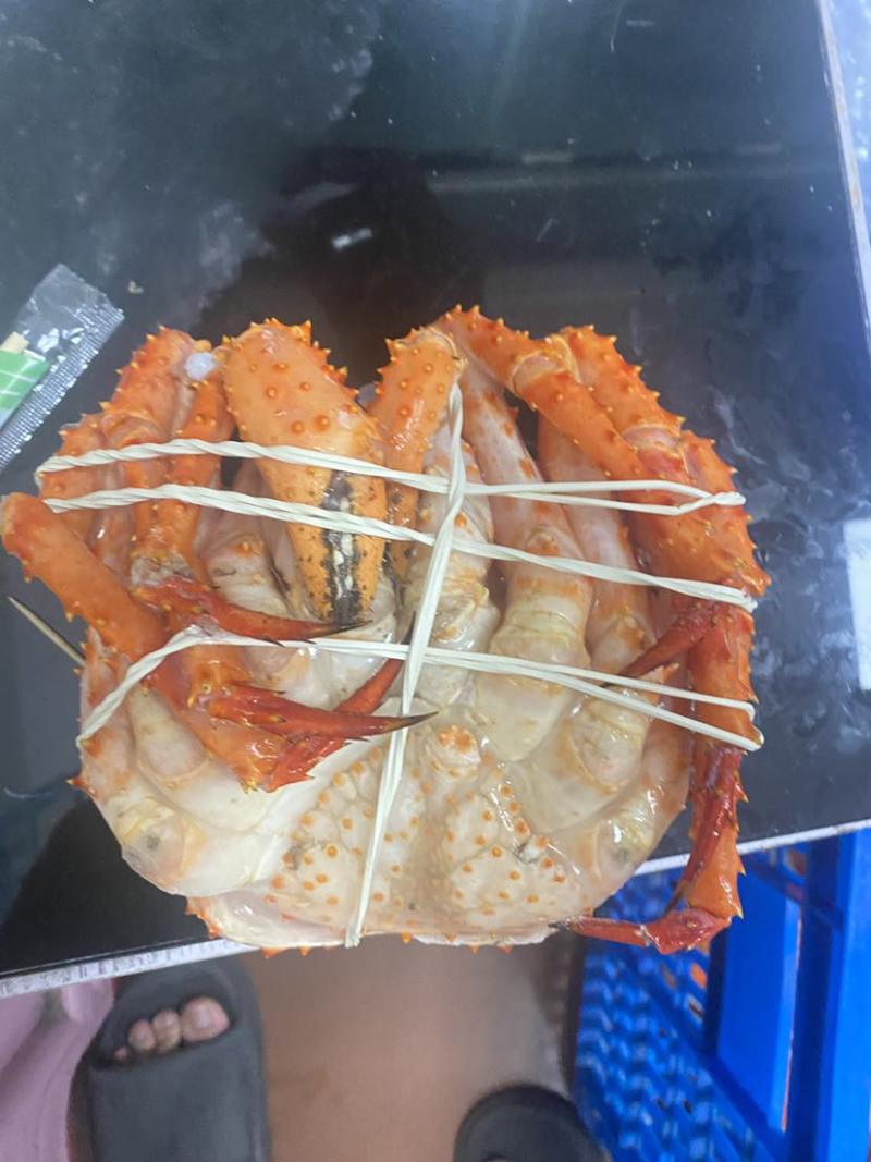 熟冻帝王蟹
