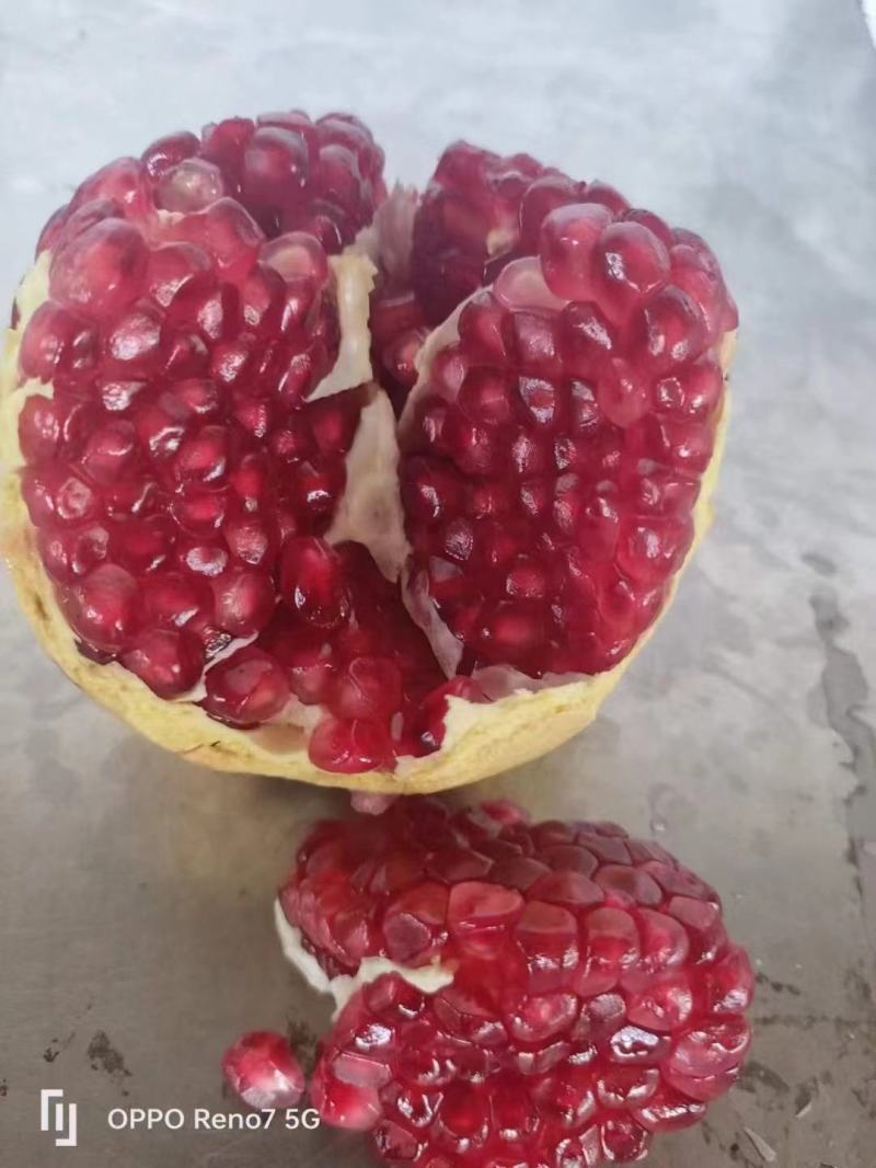 软籽石榴货源充足，供货稳定，产地直供，可视频看货
