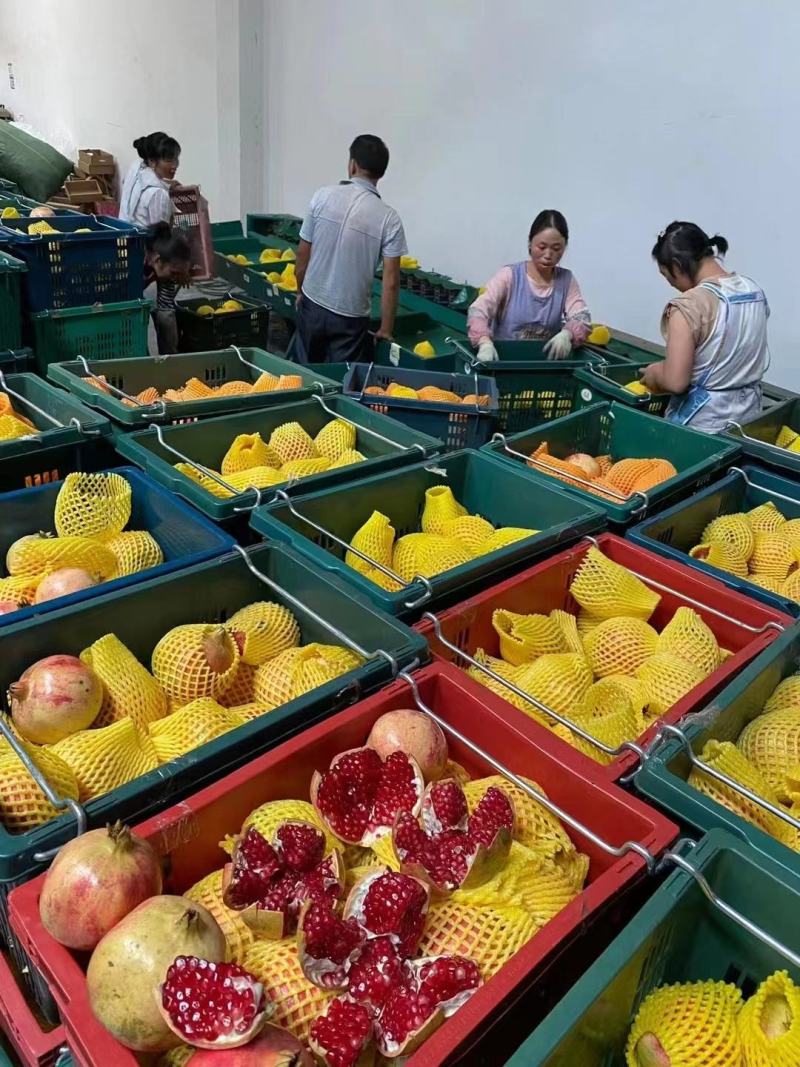 软籽石榴货源充足，供货稳定，产地直供，可视频看货