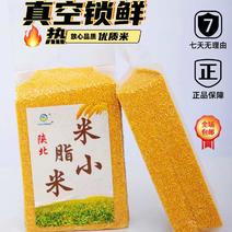 陕北米脂油小米