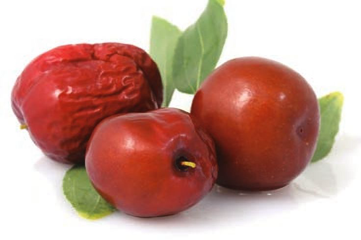 鲜枣剖面展示上半部分