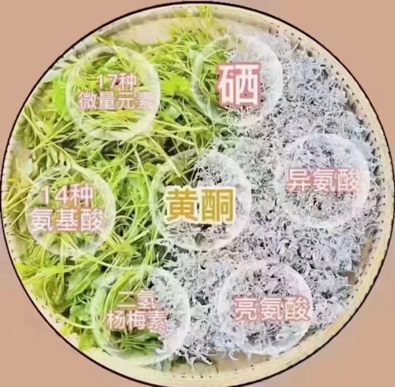 张家界生态莓茶