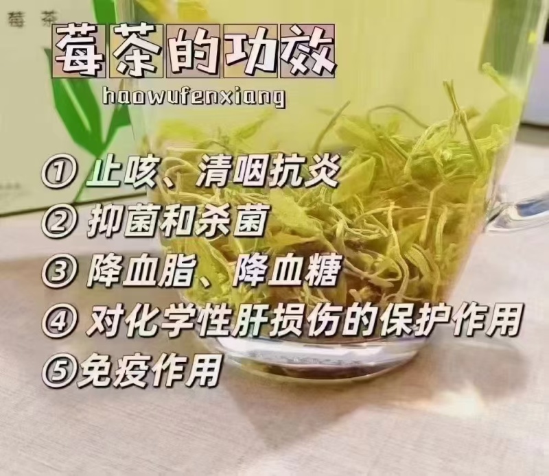 张家界生态莓茶